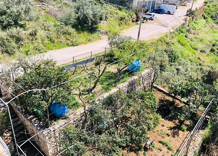 Marin's Daire Saranda